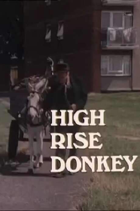 High Rise Donkey